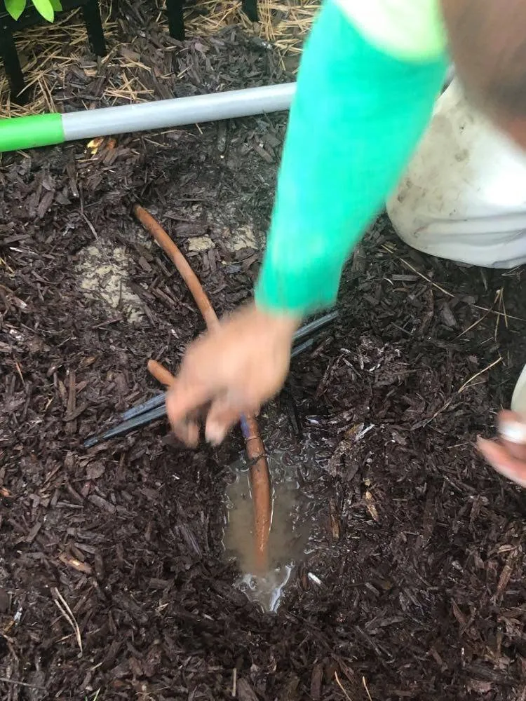 Top-rated landscape installation in Durham, NC - Harmony Irrigation & Landscaping