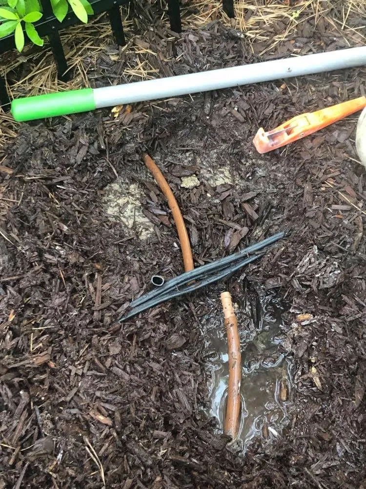 Top-rated landscaping services in Durham, NC - Harmony Irrigation & Landscaping