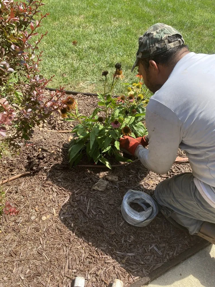 Trusted landscape design in Durham, NC by Harmony Irrigation & Landscaping