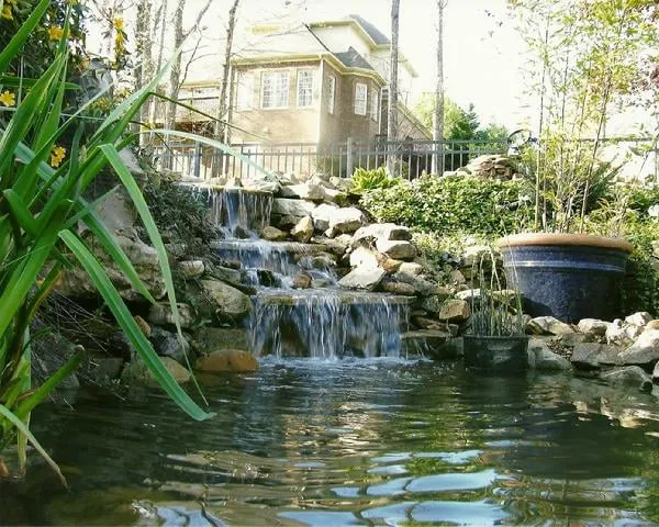 Reliable lawn care service near you in Madison, AL by Harmony Landscape & Pond