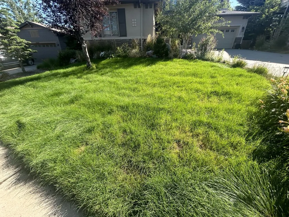 Top-rated yard maintenance with custom design across Aurora, CO - Harmony Landscape