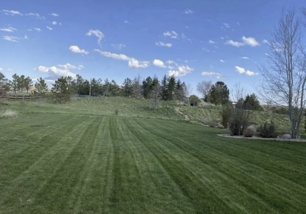 Local landscape installation in Aurora, CO - Harmony Landscape