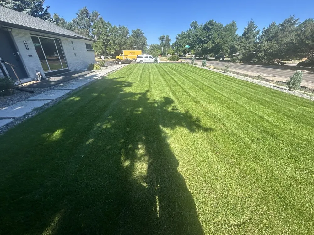 Professional yard maintenance in Aurora, CO - Harmony Landscape