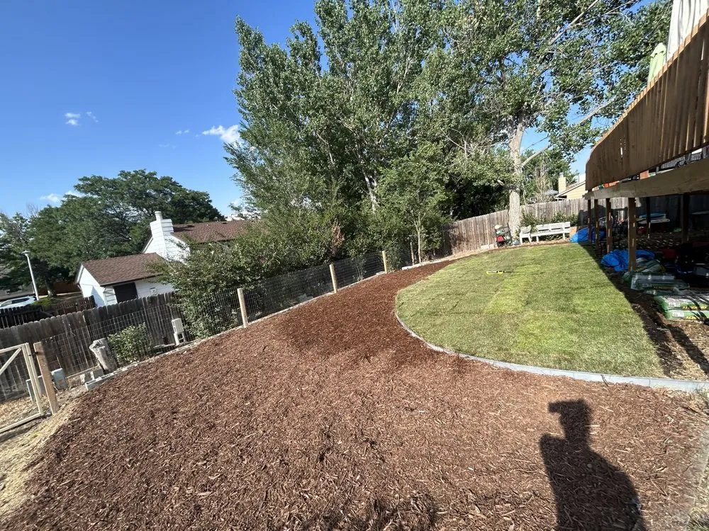 Local landscape design experts serving Aurora, CO - Harmony Landscape