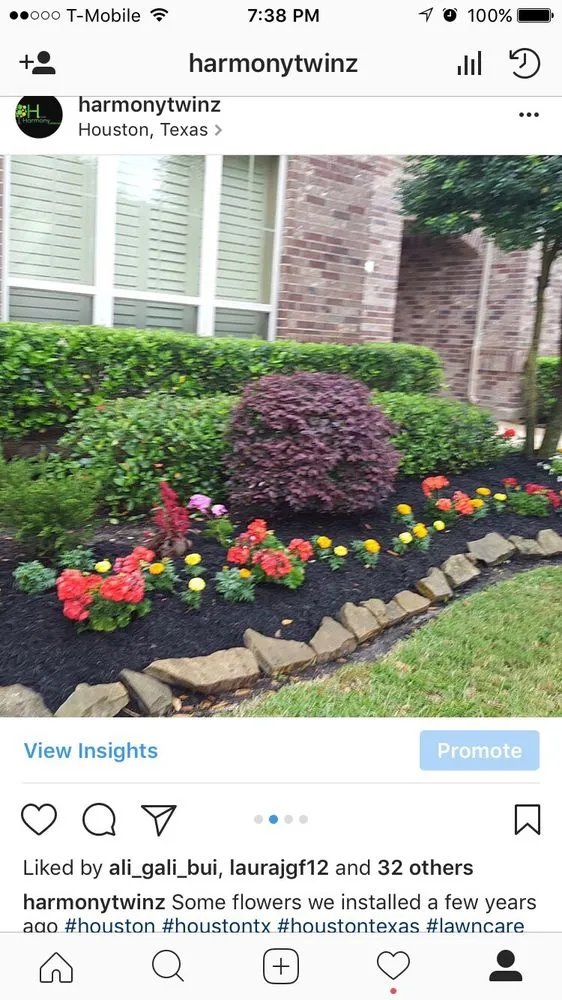 Affordable yard maintenance in Houston, TX by Harmony Landscaping