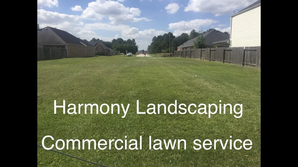 Custom landscape design in Houston, TX - Harmony Landscaping