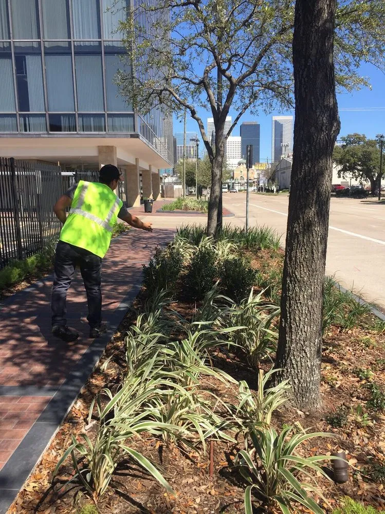 Reliable garden landscaping experts serving Houston, TX - Harmony Landscaping