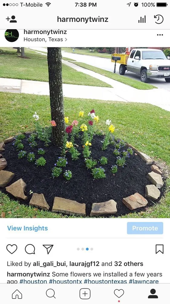 Local landscape design for year-round maintenance across Houston, TX - Harmony Landscaping