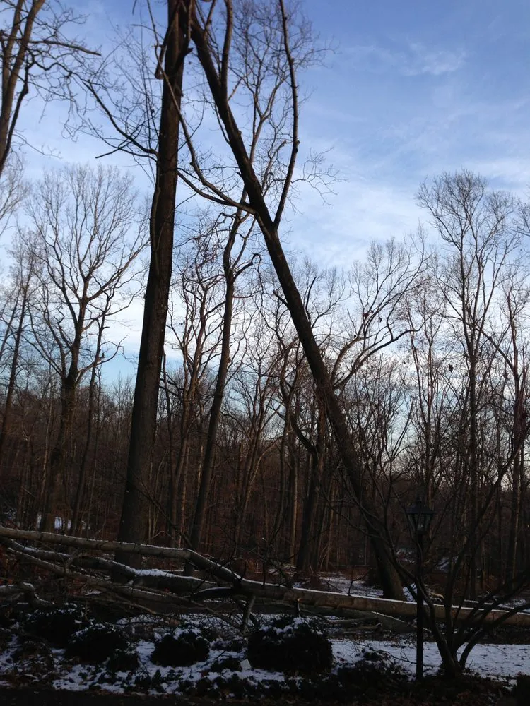 Professional lawn mowing service experts serving Bernardsville, NJ - Harmony Tree Care