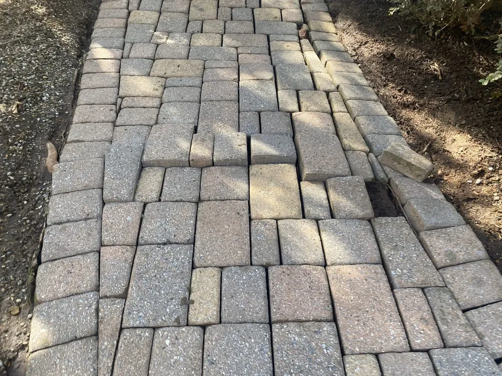 Expert yard cleanup service in Bernardsville, NJ - Harmony Tree Care