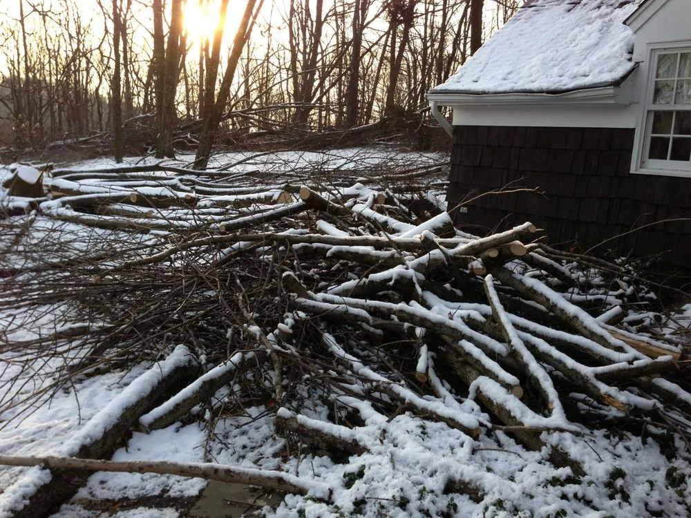 Trusted lawn mowing service for beautiful yards in Bernardsville, NJ by Harmony Tree Care