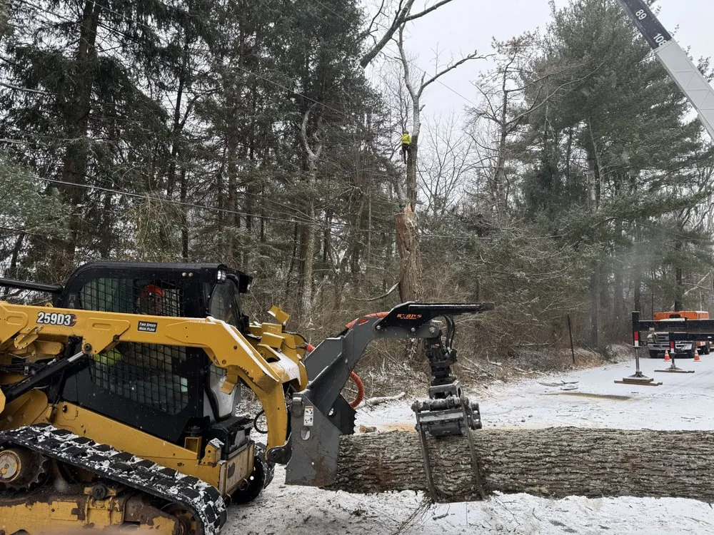 Expert yard maintenance with custom design in Bernardsville, NJ by Harmony Tree Care