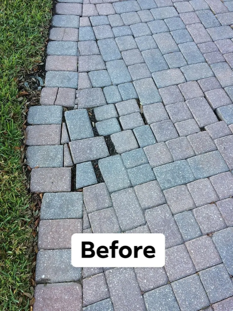 Professional landscape design experts serving Bernardsville, NJ - Harmony Tree Care