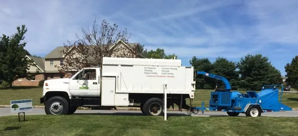 Harmony Tree Services Logo