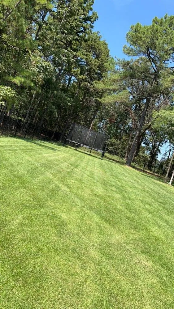 Professional landscaping services near you across Jonesboro, AR - Harness Lawn And Land Management