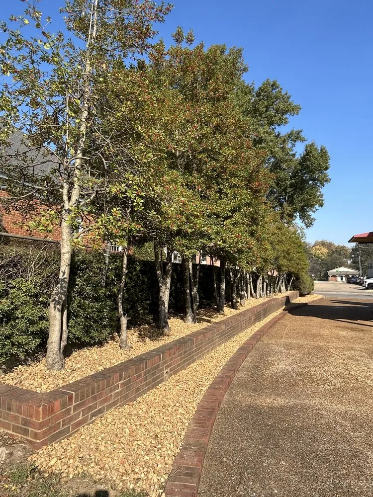 Custom outdoor landscaping in Jonesboro, AR - Harness Lawn And Land Management