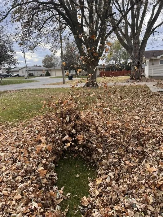 Reliable yard maintenance in Runnells, IA - Harney Lawn Care