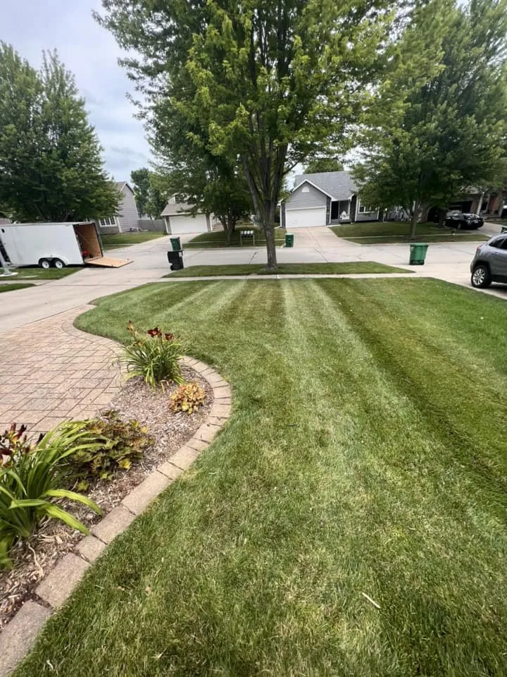 Affordable yard cleanup service in Runnells, IA by Harney Lawn Care