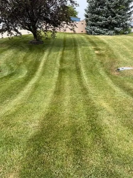 Affordable yard cleanup service for beautiful yards in Runnells, IA by Harney Lawn Care
