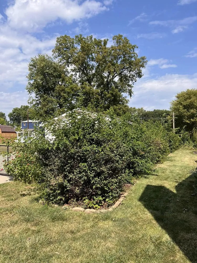 Affordable yard maintenance for outdoor upgrades in Runnells, IA by Harney Lawn Care