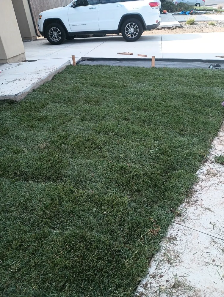 Expert landscape installation for beautiful yards in Santa Maria, CA by Haro & Sons Landscaping Maintenance & Construction