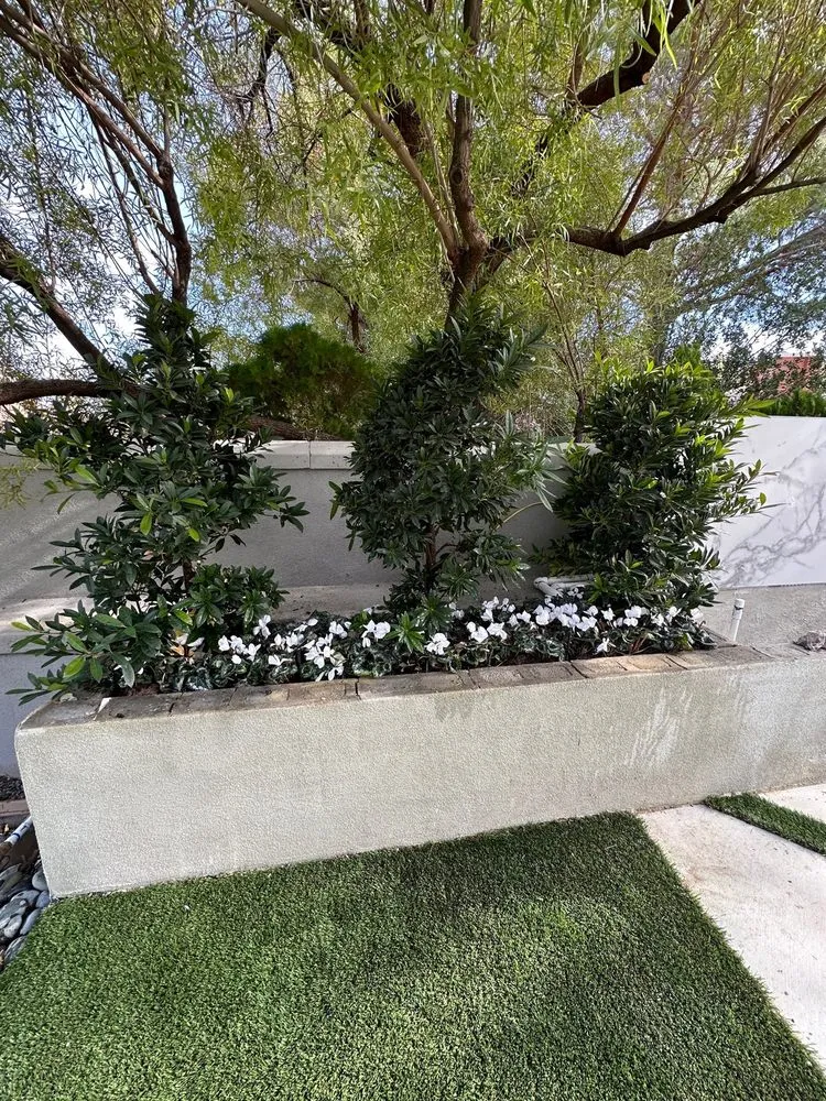 Local garden landscaping in Las Vegas, NV - Haro landscape