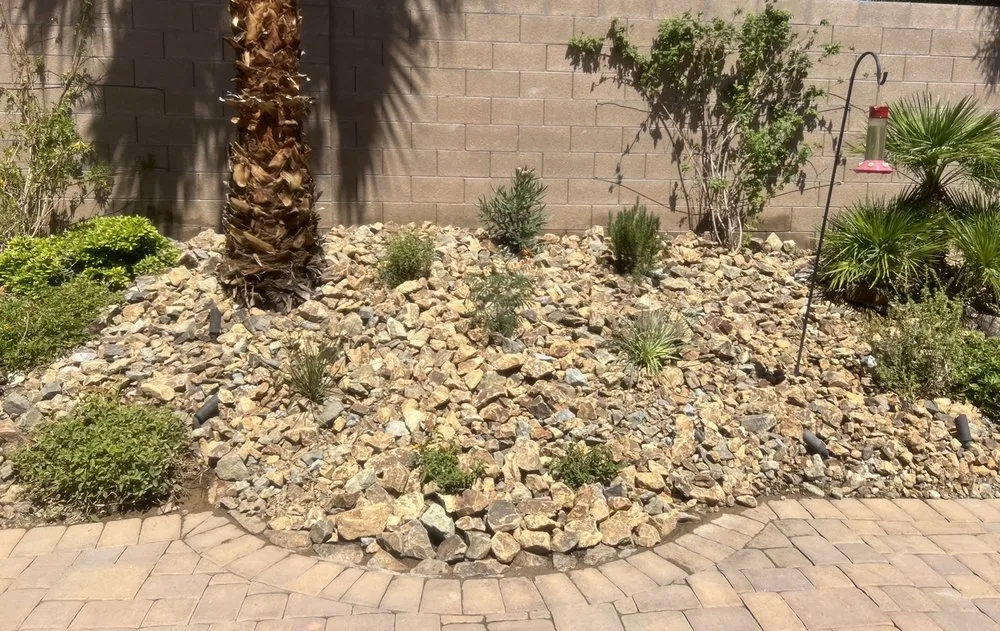 Affordable outdoor landscaping for homes in Las Vegas, NV by Haro landscape
