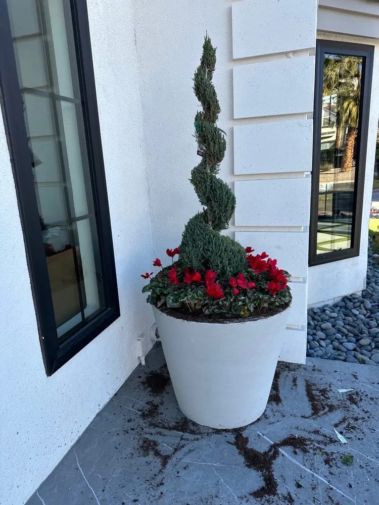 Reliable lawn care service for beautiful yards across Las Vegas, NV - Haro landscape