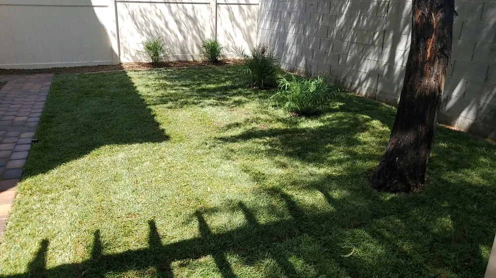 Trusted landscape design in Las Vegas, NV - Haro landscape