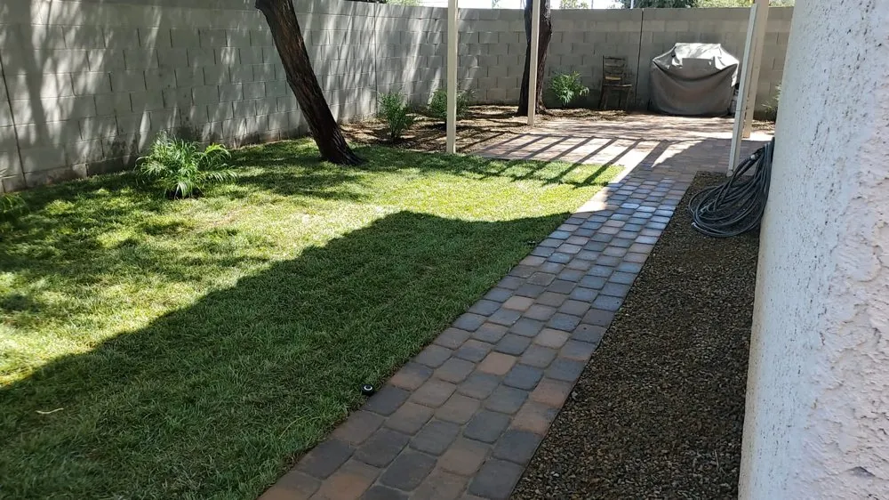 Professional yard cleanup service for year-round maintenance in Las Vegas, NV by Haro landscape