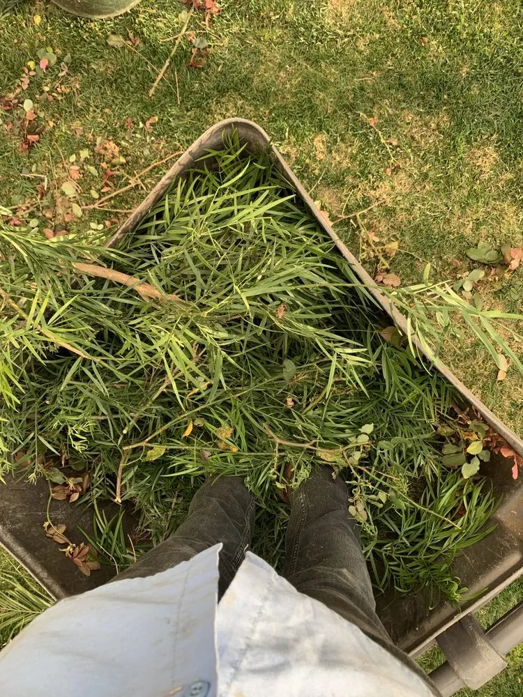 Trusted landscape design near you in Long Beach, CA by Haro Landscaping