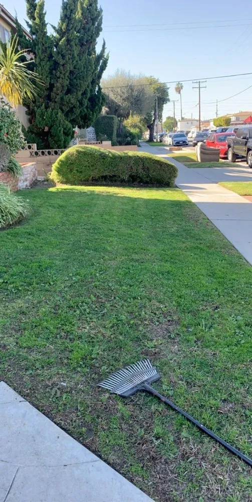 Trusted lawn mowing service in Long Beach, CA - Haro Landscaping