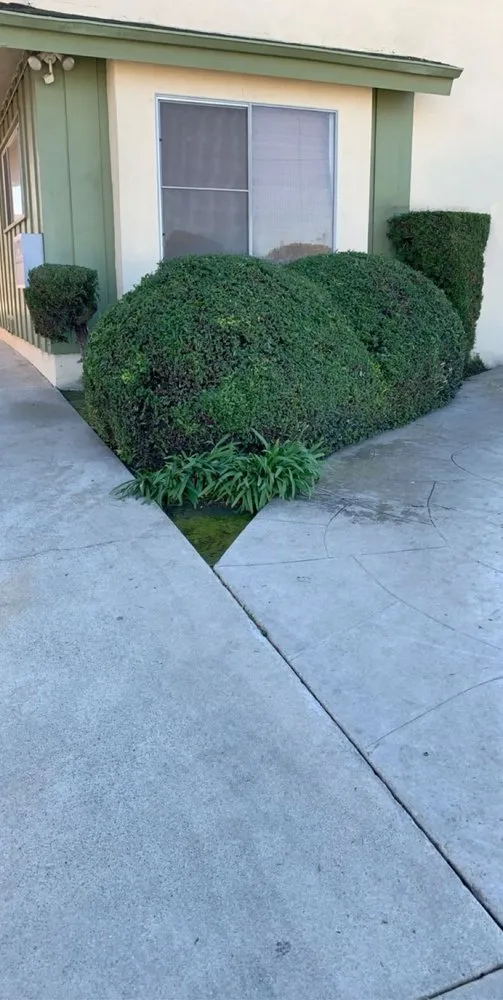 Affordable landscaping services in Long Beach, CA - Haro Landscaping