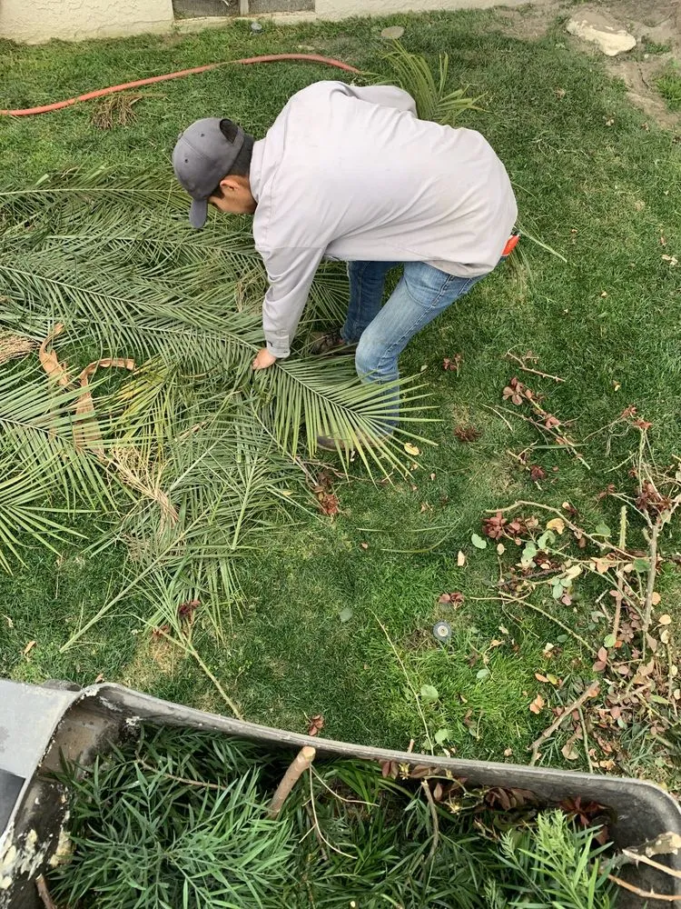 Professional landscape design for year-round maintenance across Long Beach, CA - Haro Landscaping