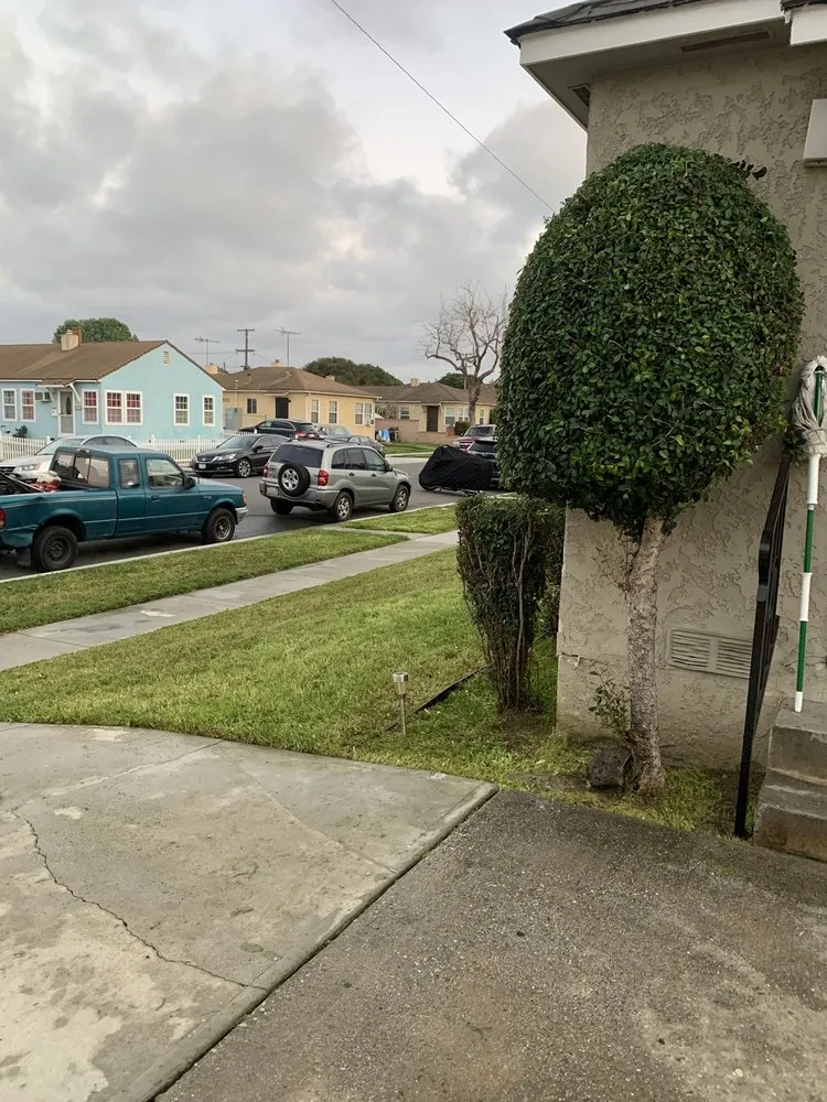 Local yard cleanup service in Long Beach, CA - Haro Landscaping