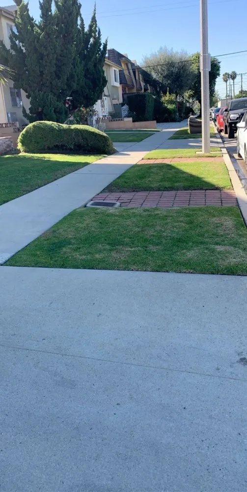 Affordable outdoor landscaping for residential properties across Long Beach, CA - Haro Landscaping