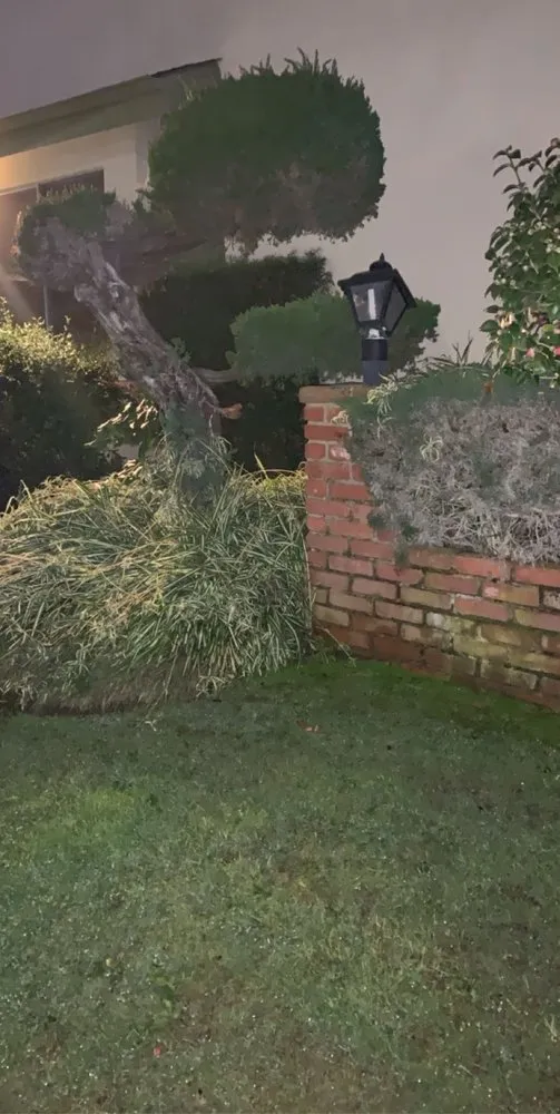 Affordable outdoor landscaping for residential properties in Long Beach, CA by Haro Landscaping