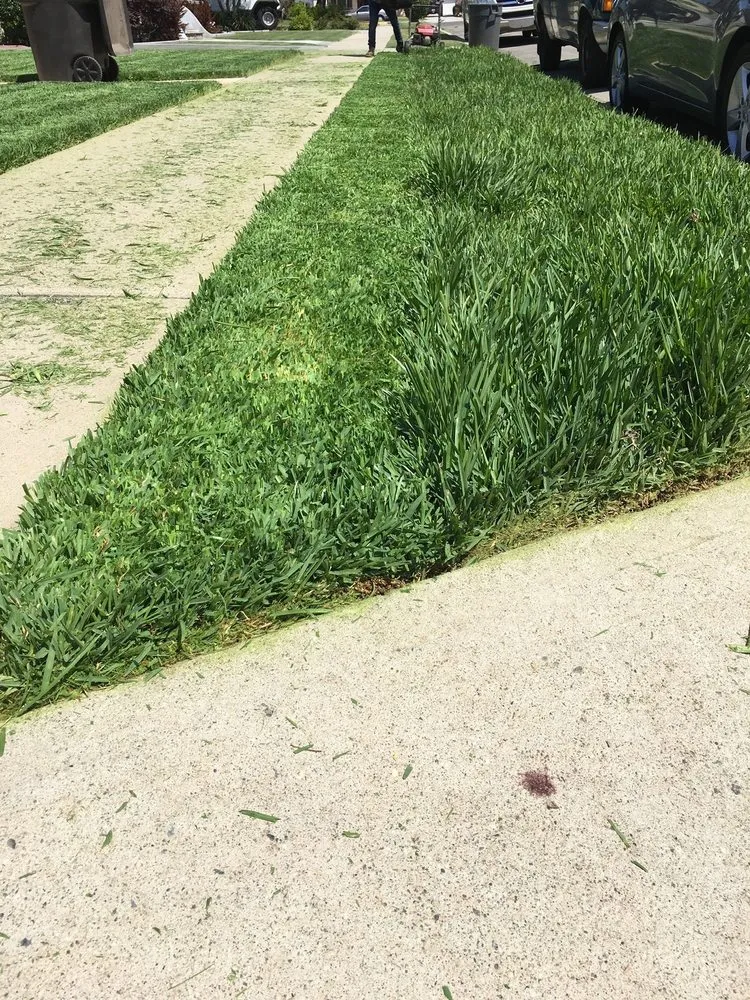 Local lawn mowing service for residential properties across Long Beach, CA - Haro Landscaping