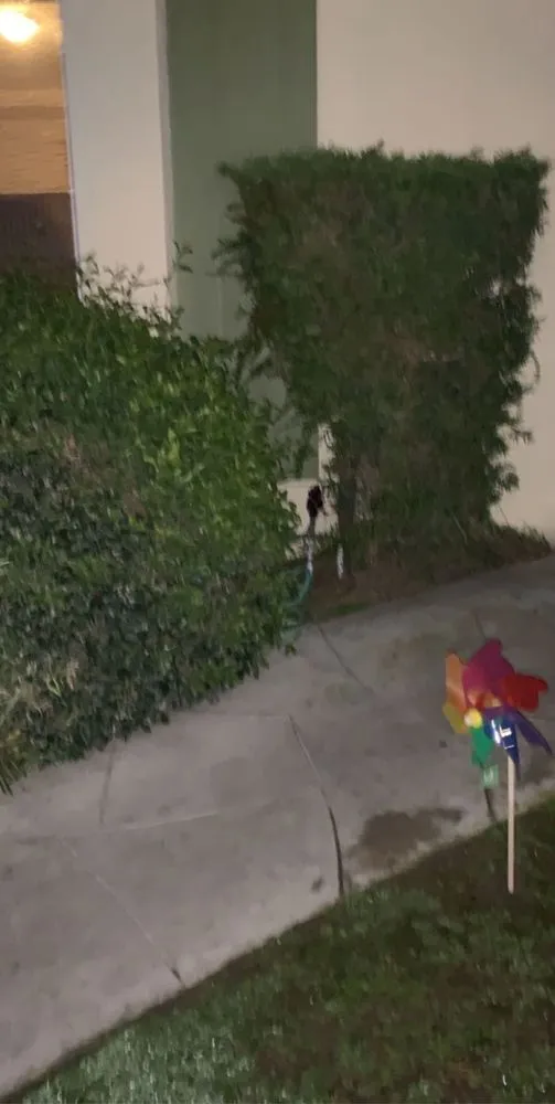 Top-rated landscape installation for year-round maintenance in Long Beach, CA by Haro Landscaping