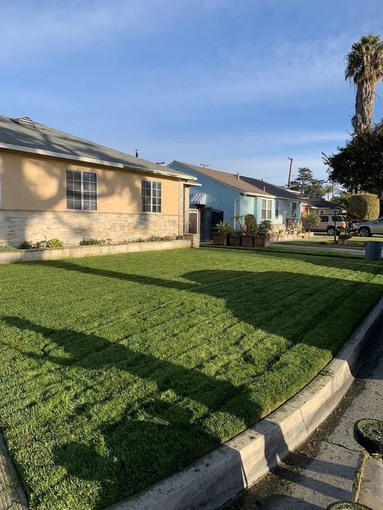 Trusted lawn care service for year-round maintenance in Long Beach, CA by Haro Landscaping