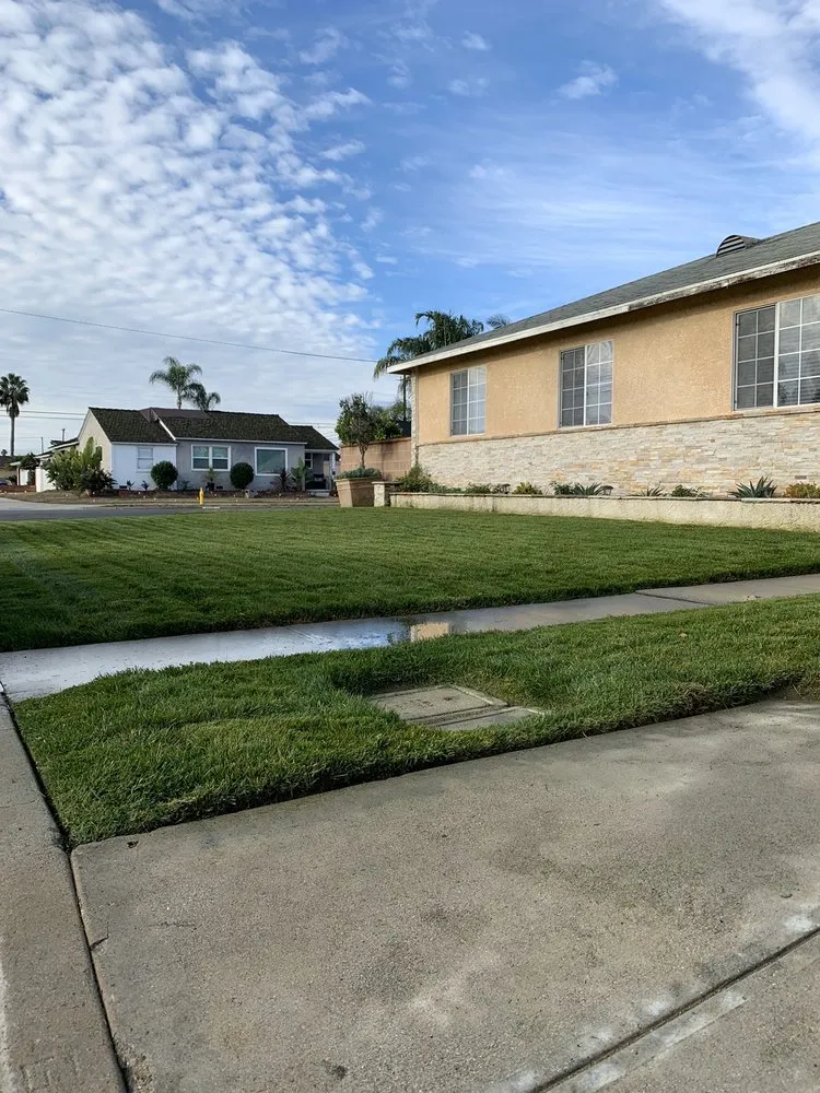 Affordable yard cleanup service in Long Beach, CA by Haro Landscaping