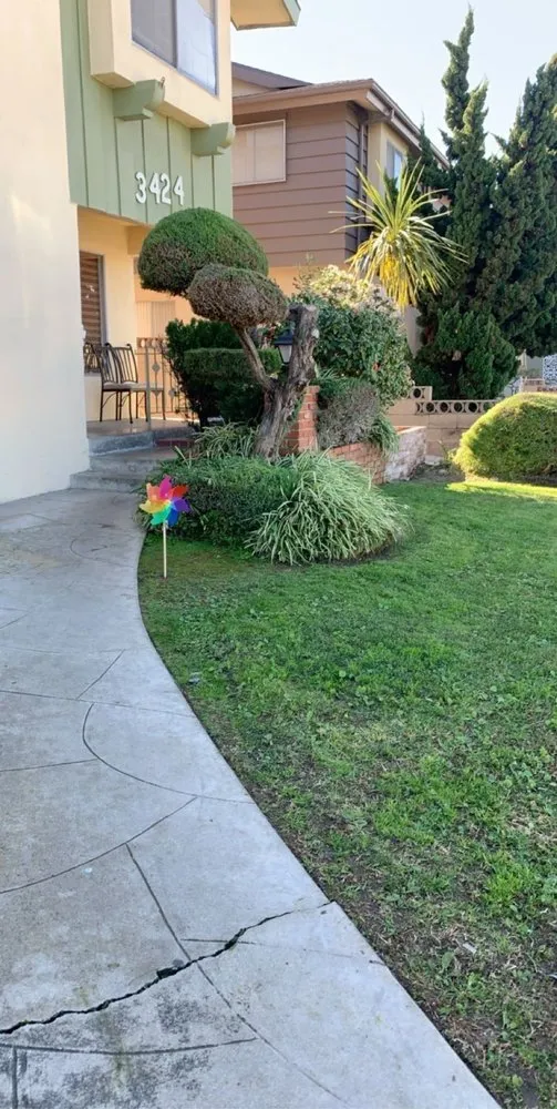 Local lawn care service in Long Beach, CA by Haro Landscaping
