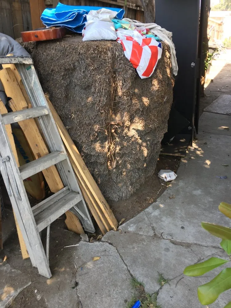 Custom outdoor landscaping near you in Long Beach, CA by Haro Landscaping