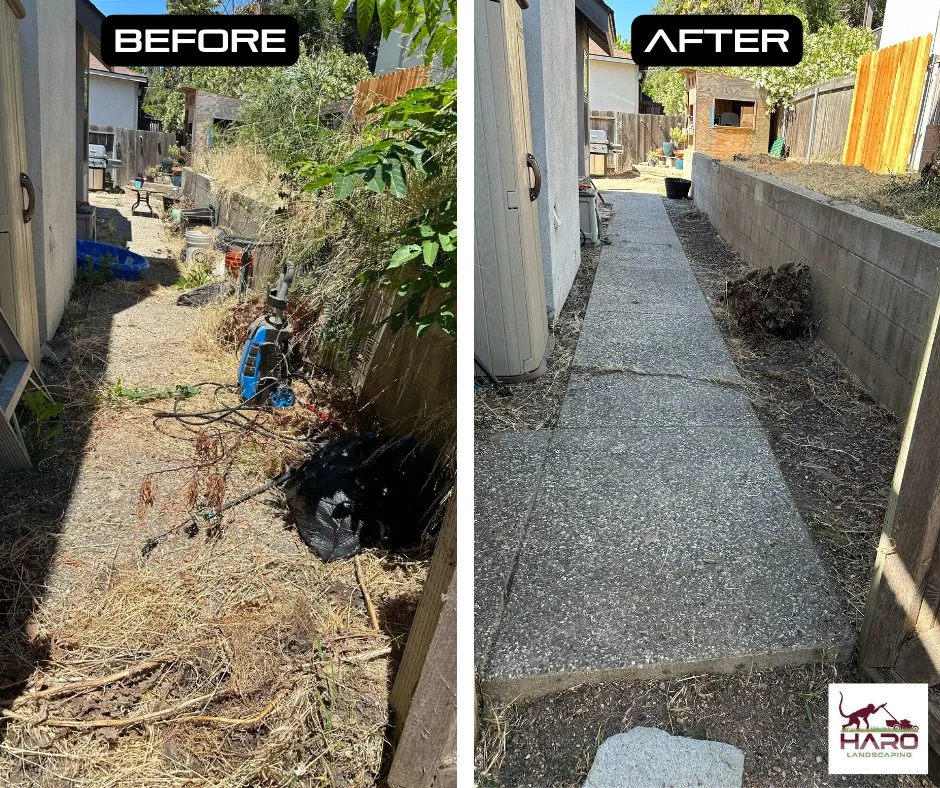 Local residential landscaping experts serving Solvang, CA - Haro Landscaping