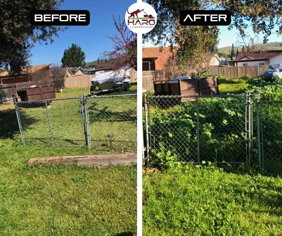 Local lawn care service experts serving Solvang, CA - Haro Landscaping