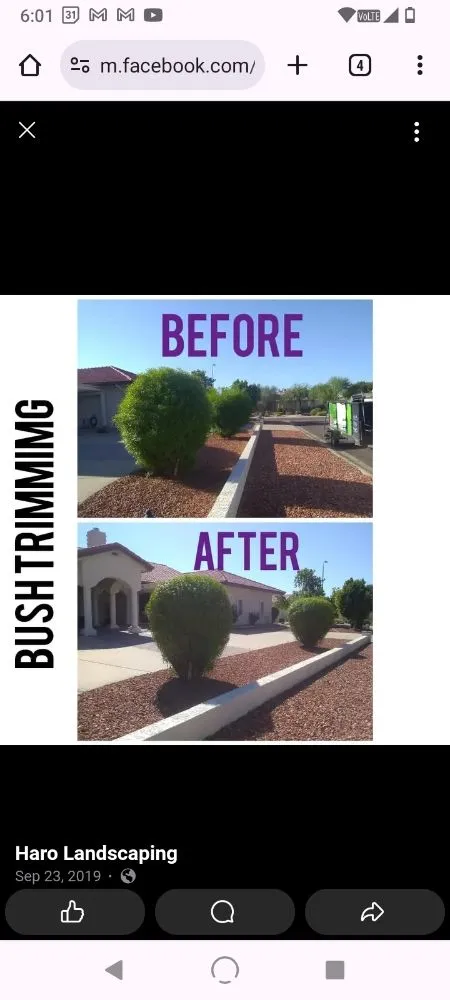 Local garden landscaping in Surprise, AZ - Haro Landscaping