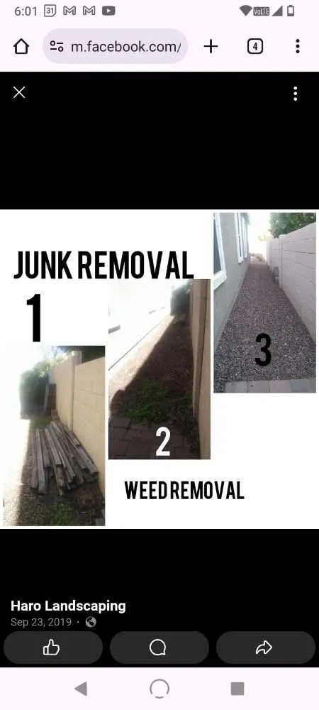 Custom yard cleanup service in Surprise, AZ - Haro Landscaping