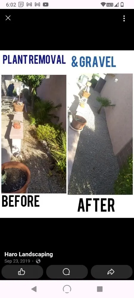 Local landscaping services with custom design in Surprise, AZ by Haro Landscaping