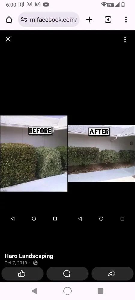 Top-rated landscape installation in Surprise, AZ - Haro Landscaping