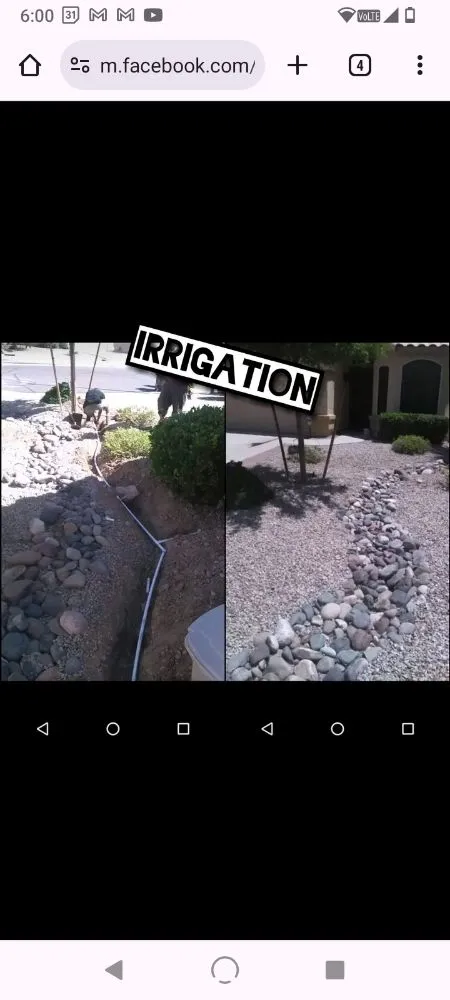 Expert lawn care service experts serving Surprise, AZ - Haro Landscaping
